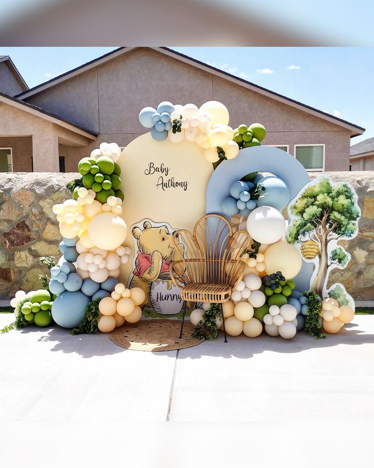 Outdoor Winnie the Pooh Backdrop